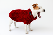 Parisian Pet 'Cable Knit Sweater' - Warm & Stylish Pet Sweater in Red for Dogs & Cats-Valentine's Day