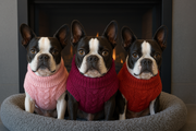 Parisian Pet 'Cable Knit Sweater' - Warm & Stylish Pet Sweater in Raspberry for Dogs & Cats-Valentine's Day