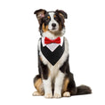 Load image into Gallery viewer, Dog Tuxedo Bow Tie Collar