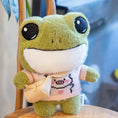 Load image into Gallery viewer, Adventure Frog Plushies