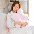 Load image into Gallery viewer, Cherry Blossom Plushie Pillow