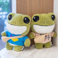 Load image into Gallery viewer, Adventure Frog Plushies