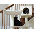 Load image into Gallery viewer, Armarkat Wood Cat Tree S8902
