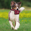 Load image into Gallery viewer, San Francisco 49ers #1 Fan Toy