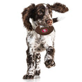 Load image into Gallery viewer, San Francisco 49Ers Hard Nylon Football Chew Toy