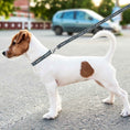 Load image into Gallery viewer, San Diego FC Satin Ribbon Leash