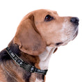 Load image into Gallery viewer, San Diego FC Satin Collar
