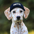 Load image into Gallery viewer, NFL Seattle Seahawks Dog Hat