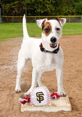 Load image into Gallery viewer, San Francisco Giants Nylon Baseball Rope Toy