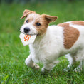 Load image into Gallery viewer, San Francisco Giants Hard Nylon Homeplate Chew Toy