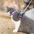 Load image into Gallery viewer, Mr. Peanut's PurrTrek Reflective Cat Harness with Matching Leash