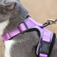 Load image into Gallery viewer, Mr. Peanut's PurrTrek Reflective Cat Harness with Matching Leash