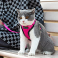 Load image into Gallery viewer, Mr. Peanut's PurrTrek Reflective Cat Harness with Matching Leash