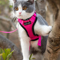 Load image into Gallery viewer, Mr. Peanut's PurrTrek Reflective Cat Harness with Matching Leash