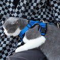 Load image into Gallery viewer, Mr. Peanut's PurrTrek Reflective Cat Harness with Matching Leash