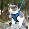 Load image into Gallery viewer, Mr. Peanut's PurrTrek Reflective Cat Harness with Matching Leash