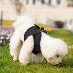 Mr. Peanut's PupTrek Harness and Leash Set,  Small Dog/Cat Soft Mesh Step In Harness Vest