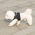 Load image into Gallery viewer, Mr. Peanut's PupTrek Harness and Leash Set, Small Dog/Cat Soft Mesh Step In Harness Vest