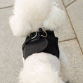 Load image into Gallery viewer, Mr. Peanut's PupTrek Harness and Leash Set, Small Dog/Cat Soft Mesh Step In Harness Vest