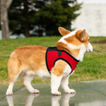Mr. Peanut's PupTrek Harness and Leash Set,  Small Dog/Cat Soft Mesh Step In Harness Vest