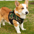 Load image into Gallery viewer, Mr. Peanut's PupTrek Harness and Leash Set, Small Dog/Cat Soft Mesh Step In Harness Vest