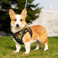 Load image into Gallery viewer, Mr. Peanut's PupTrek Harness and Leash Set, Small Dog/Cat Soft Mesh Step In Harness Vest