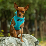 Mr. Peanut's PupTrek Harness and Leash Set,  Small Dog/Cat Soft Mesh Step In Harness Vest