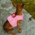 Load image into Gallery viewer, Mr. Peanut's PupTrek Harness and Leash Set, Small Dog/Cat Soft Mesh Step In Harness Vest