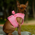 Load image into Gallery viewer, Mr. Peanut's PupTrek Harness and Leash Set, Small Dog/Cat Soft Mesh Step In Harness Vest