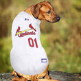 Load image into Gallery viewer, St. Louis Cardinals MLB Dog Jersey - Official Baseball Pet Fan Apparel