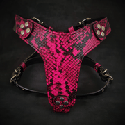 The ''Rock Python'' Dogs and pets harness Small to Medium Size