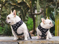Load image into Gallery viewer, Frenchie Duo Reversible Harness - Bad To The Bone