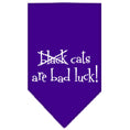 Load image into Gallery viewer, Halloween Pet and Dog Bandana Screen Printed, "Black Cats are Bad Luck"