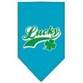 Load image into Gallery viewer, Pet and Dog Bandana Screen Printed, "Lucky Swoosh"