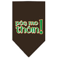 Load image into Gallery viewer, Pet and Dog Bandana Screen Printed, "Pog Mo Thoin"