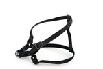 Sport Style Leather Step In Harness