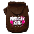 Load image into Gallery viewer, Pet Hoodie "Birthday Girl"