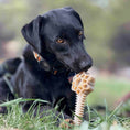 Load image into Gallery viewer, Black dog chewing on a Honey Bone Dental Flower Tower chew toy, surrounded by green grass. Ideal for dental health.