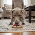 Load image into Gallery viewer, A dog licking a Potato Chip Nylon Chew & Enrichment Toy on a rug, with a cozy living room in the background.