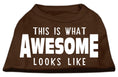 Load image into Gallery viewer, Pet Dog & Cat Shirt Screen Printed, "This Is What Awesome Looks Like"