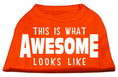 Load image into Gallery viewer, Pet Dog & Cat Shirt Screen Printed, "This Is What Awesome Looks Like"