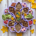 Load image into Gallery viewer, Mandala Softie eTray Shallow Slow Feeder Dog Bowl with Suction Cups | USA Made