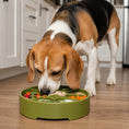 Load image into Gallery viewer, Great Outdoors eBowl - Slow Feeder Dog Bowl & Enrichment | USA Made