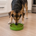 Load image into Gallery viewer, Garden Design eTray - Shallow Slow Feeder Dog Bowl for Enrichment | USA