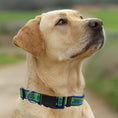 Load image into Gallery viewer, Seattle Sounders FC Satin Collar