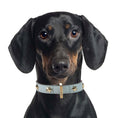 Load image into Gallery viewer, Leather Dog Collar in Cloud - Stud Star, Made in Italy