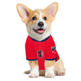 Load image into Gallery viewer, MLS St. Louis City Soccer Club Mesh Dog Jersey