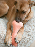 Load image into Gallery viewer, OMBRE WOOLBONE - Southlake Paws