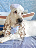 Load image into Gallery viewer, Sailboats Dog Bandana