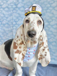 Load image into Gallery viewer, Sailboats Dog Bandana